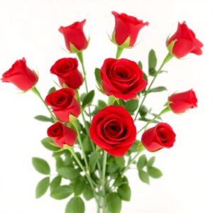 10 Pcs Red Roses Bouquet